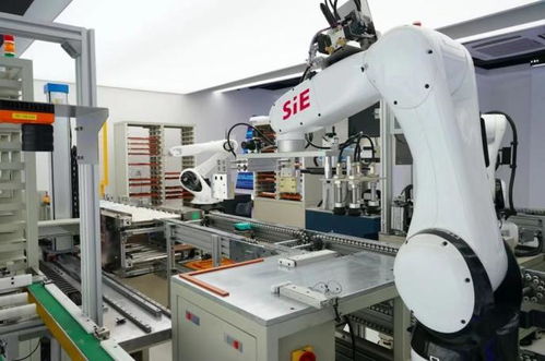 賽意信息2020年度業(yè)績(jī)說(shuō)明會(huì) 智能制造業(yè)務(wù)高速增長(zhǎng)，研發(fā)投入驅(qū)動(dòng)智能機(jī)器人創(chuàng)新發(fā)展